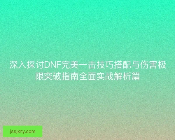 深入探讨DNF完美一击技巧搭配与伤害极限突破指南全面实战解析篇