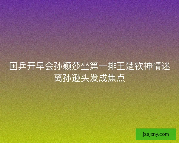 国乒开早会孙颖莎坐第一排王楚钦神情迷离孙逊头发成焦点
